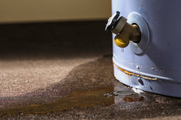 Best Ceiling water damage repair  in Holiday Heights, NJ
