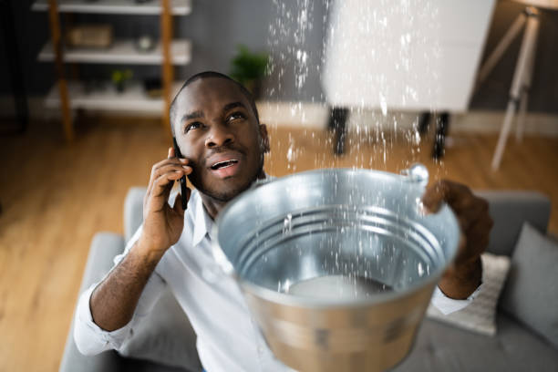 Best Water damage restoration near me  in Holiday Heights, NJ