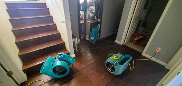 Water damage restoration experts in Holiday Heights, NJ