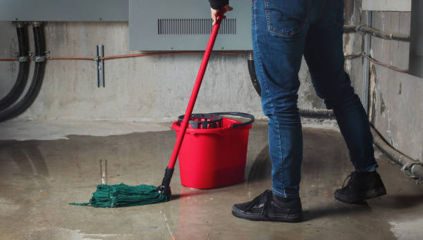 Best Sewage cleanup and water damage restoration  in Holiday Heights, NJ