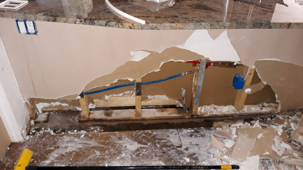 Best Basement water damage restoration  in Holiday Heights, NJ