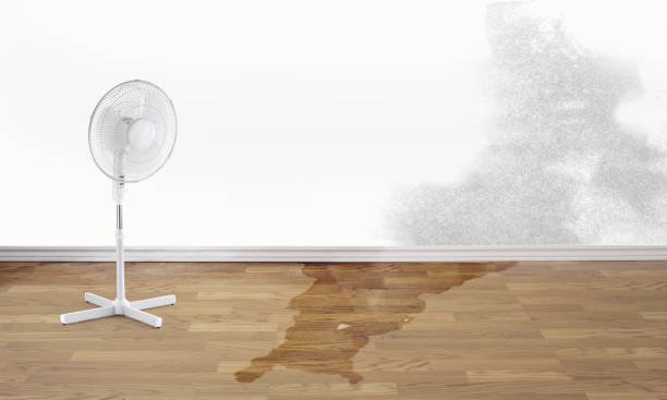 Water damage restoration mold remediation in Holiday Heights, NJ