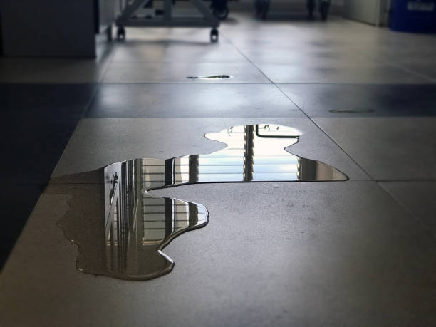 Best 24/7 water damage repair  in Holiday Heights, NJ