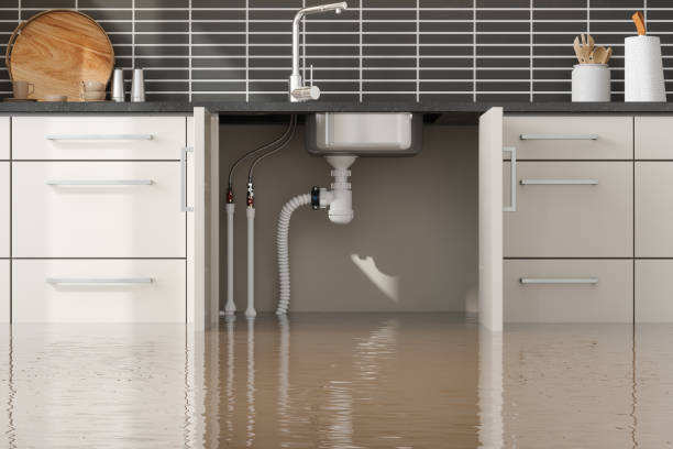 Best Water damage restoration mold remediation  in Holiday Heights, NJ
