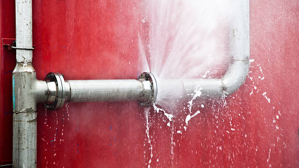 Best Local water damage restoration  in Holiday Heights, NJ